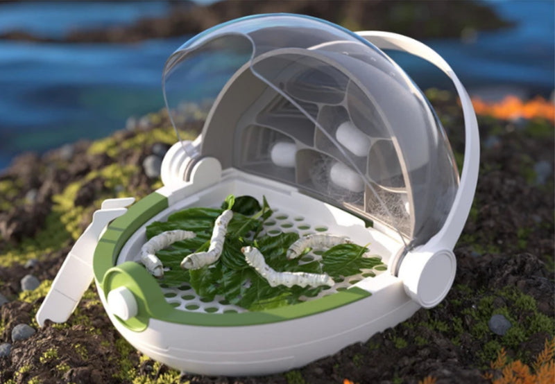 Load image into Gallery viewer, Silkworm Breeding Capsule
