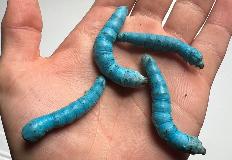 Load image into Gallery viewer, Exotic Silkworm Chow