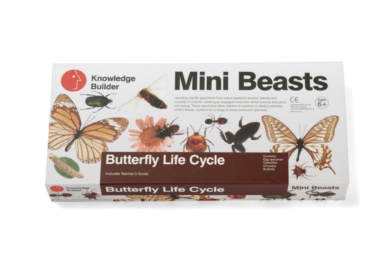 Load image into Gallery viewer, Mini Beasts - Silkworm Life Cycle Set
